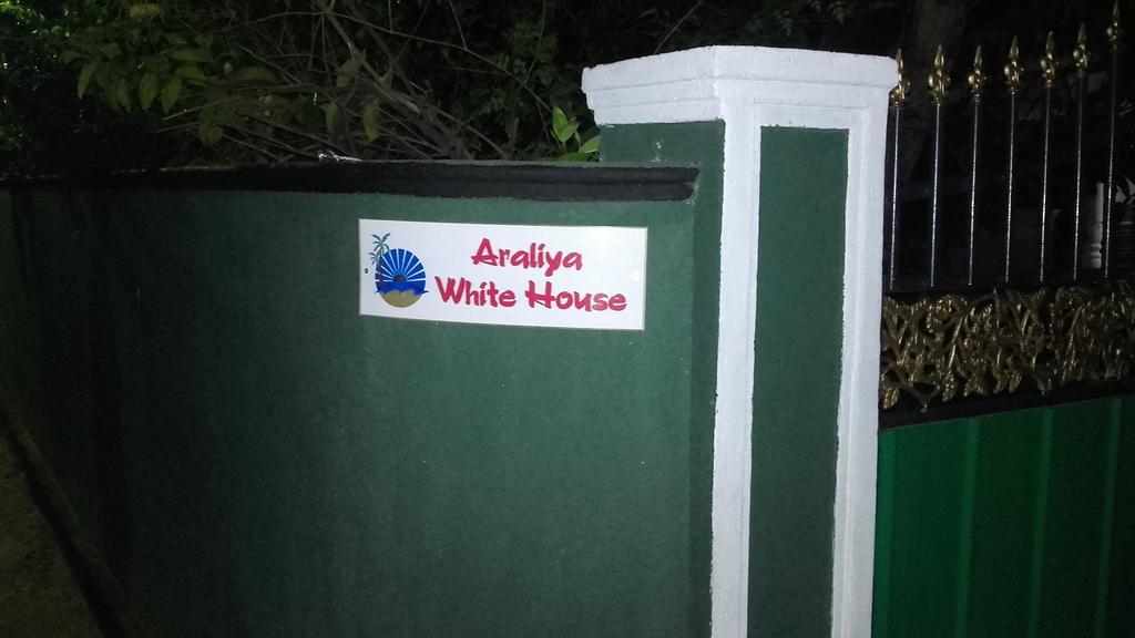 ネゴンボAraliya White Houseアパートメント エクステリア 写真